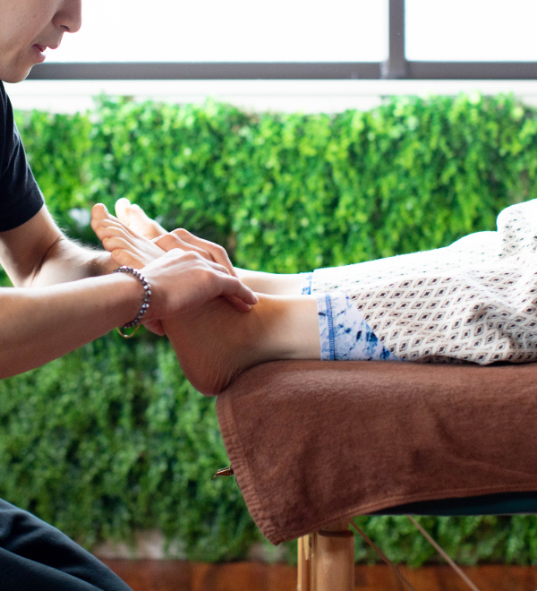 根本改善コース